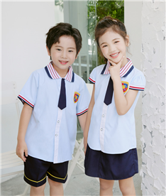 夏季中小學(xué)生校服帶假領(lǐng)帶（淺藍(lán)）